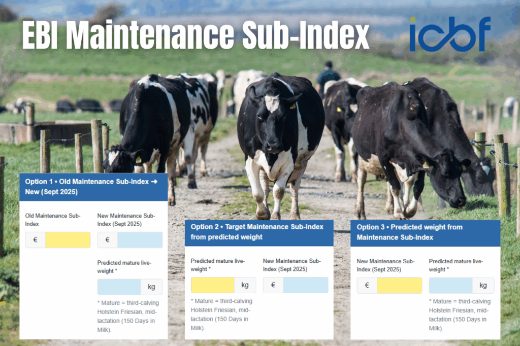 EBI Maintenance Sub-Index – What has changed?