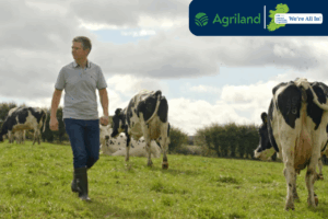 Read more about the article Genotyping from the Start: Lessons from the Lisduff Herd as NGP Deadline Approaches