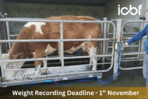 Read more about the article Weight recording deadlines fast approaching