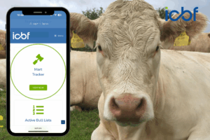 Read more about the article New SCEP-Eligible Filter Added to Mart Tracker — Don’t Miss the 31st October Female Deadline