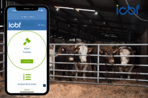 Read more about the article Save Time and Buy Smarter with the ICBF Mart Tracker