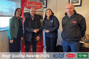 Read more about the article Continental Quality & High CBVs Driving Performance on the Conway Farm