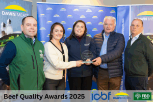 Read more about the article Targeted Breeding and Grass Efficiency Fuel Results on the Murphy Farm