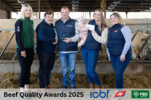 Read more about the article From Calf Quality to Carcass Results: Brendan Stack’s CBV‑Focused Finishing System