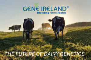Read more about the article Answering Farmers Key Questions on Dairy Gene Ireland