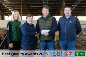 Read more about the article Genetics, Management and Measurable Results: The CBV Drives Co. Wexford High‑Performance Finishing System