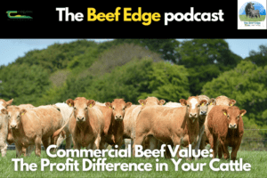 Read more about the article Commercial Beef Value (CBV): The Profit Difference in Your Cattle