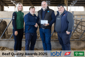 Read more about the article Precision Breeding Powers Exceptional Beef Performance on the Kavanagh Family’s Herd