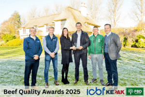 Strong Management and Smart Sourcing Behind Standout Dairy–Beef Performance